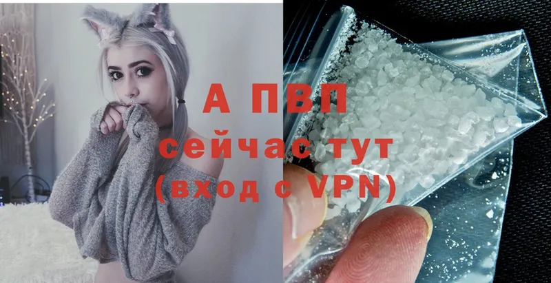 Alfa_PVP СК Белёв